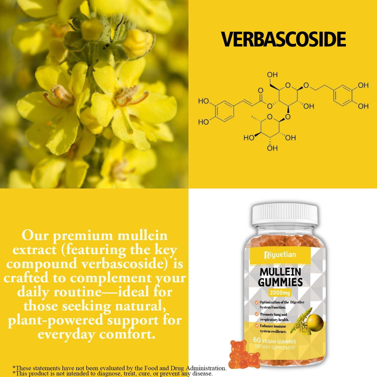 Étiquette du flacon de gummies Mullein avec liste des ingrédients