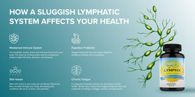 Étiquette du flacon de LymphX Healthy Day Supplements