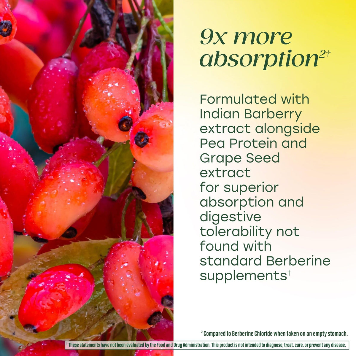 Étiquette du flacon de MegaFood Berberine Phytosome