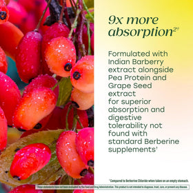 Étiquette du flacon de MegaFood Berberine Phytosome
