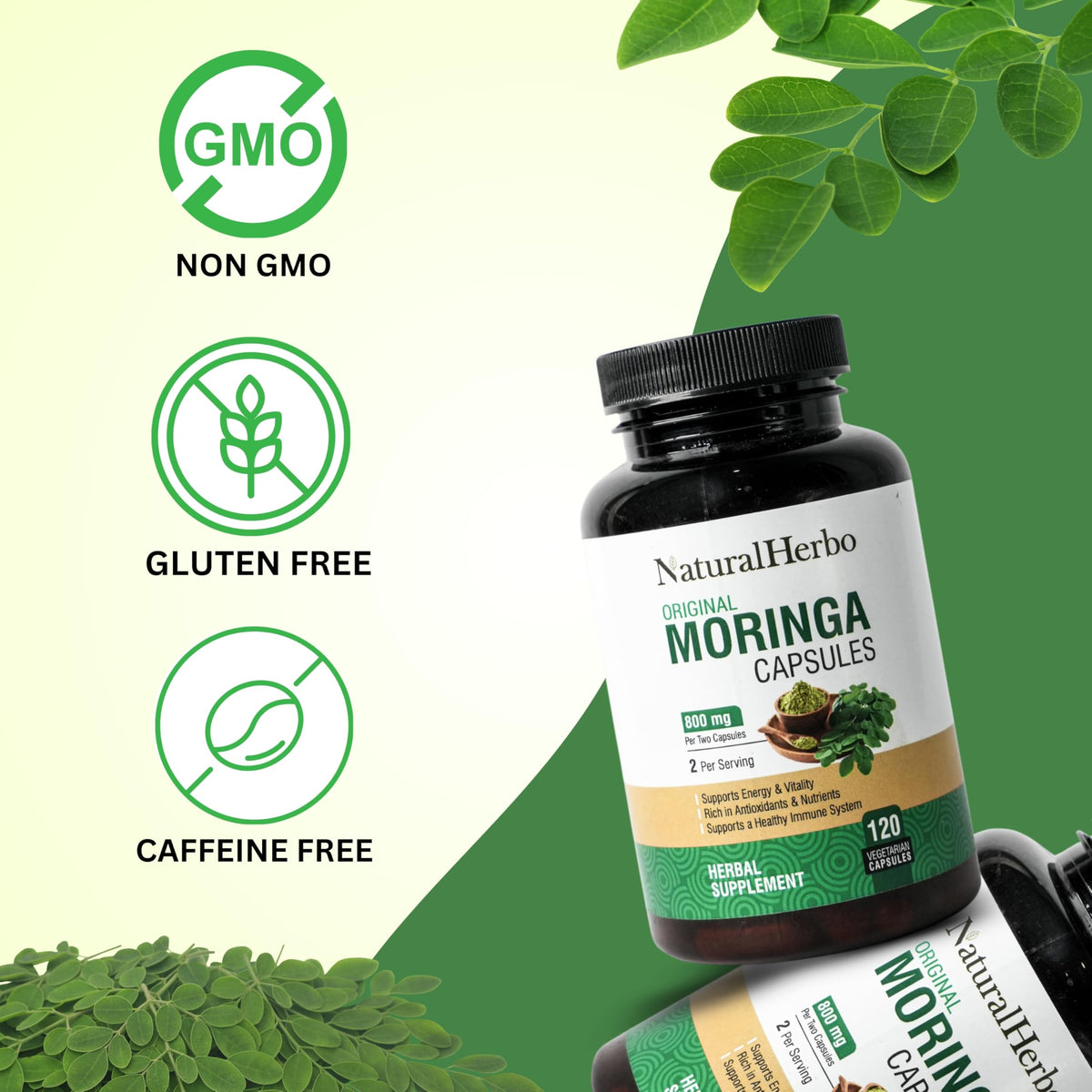 Étiquette du flacon de Moringa Pur NaturalHerbo