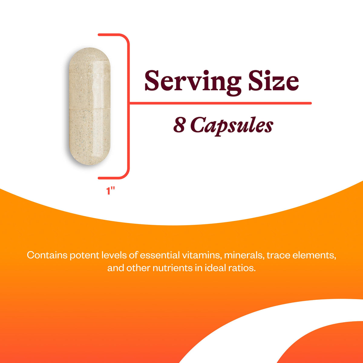Étiquette du flacon de multivitamine optimale Seeking Health
