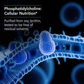 Étiquette du flacon de Phosphatidylcholine 385 mg Allergy Research Group