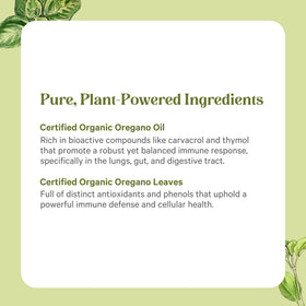 Étiquette du flacon de PURE SYNERGY Extrait d'Origan Bio