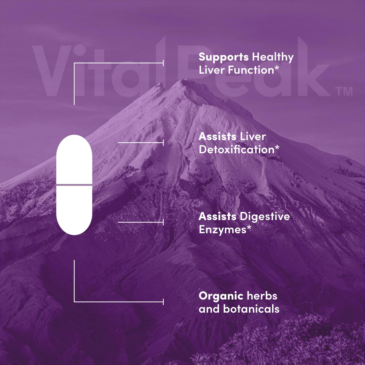 Étiquette du flacon de Vital Peak Détox Foie