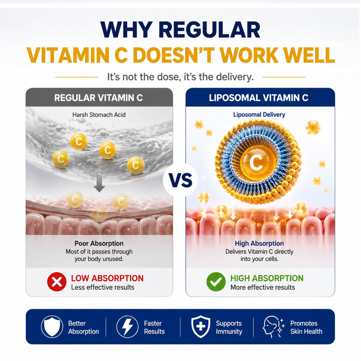 Étiquette du flacon de vitamine C liposomale Cellqueue