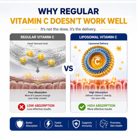Étiquette du flacon de vitamine C liposomale Cellqueue