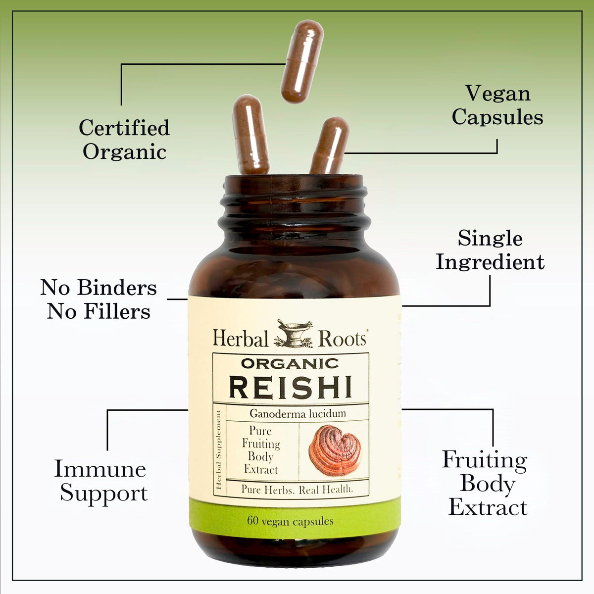 Étiquette du flacon Herbal Roots champignon Reishi bio