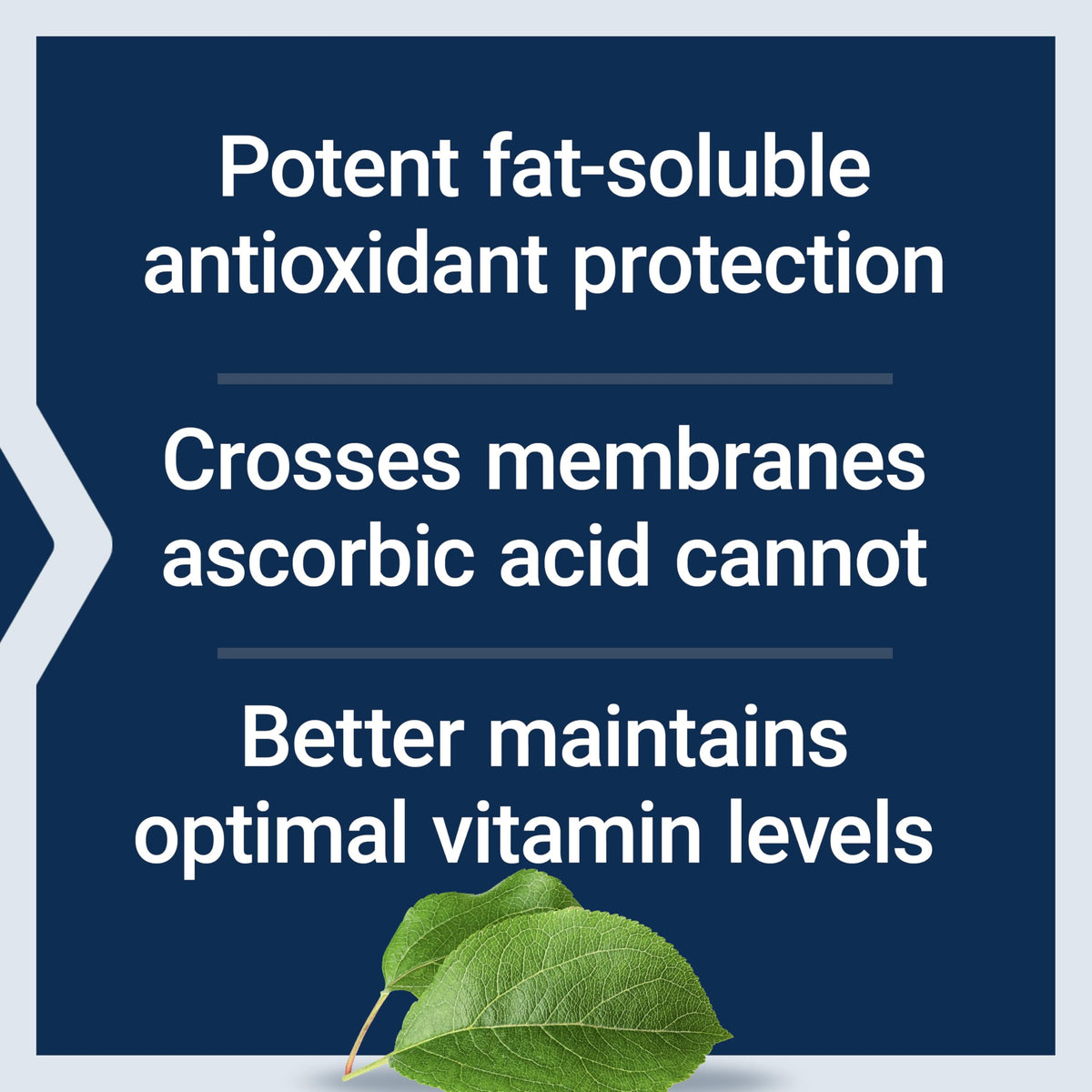 Étiquette du flacon Life Extension Ascorbyl Palmitate 500mg