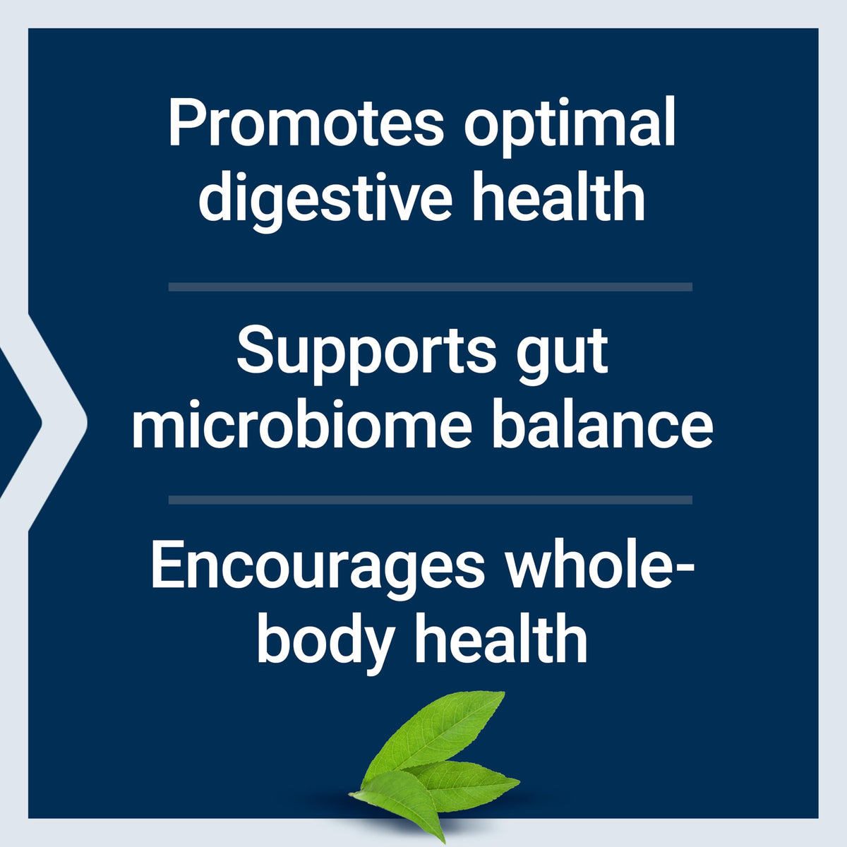 Étiquette du flacon Life Extension FLORASSIST® Probiotic Balance