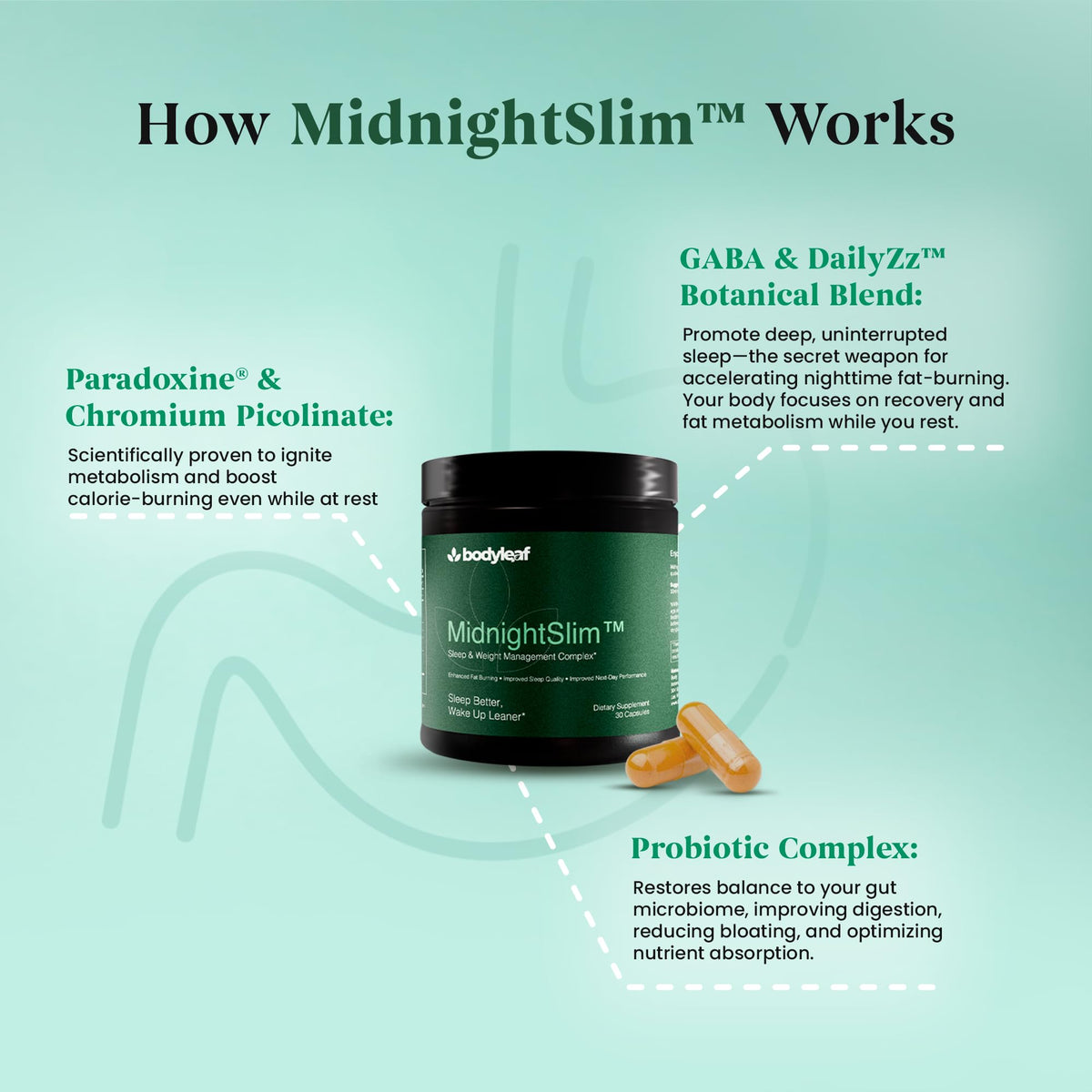 Étiquette du flacon MidnightSlim™ Body Leaf