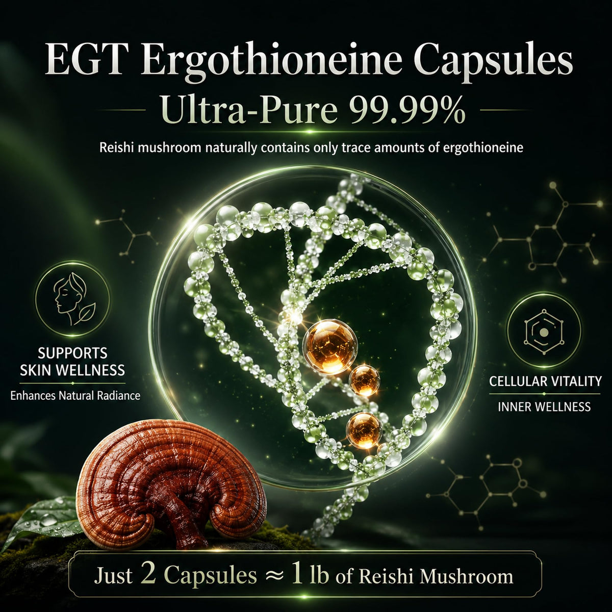 Étiquette du flacon MixPower L-Ergothioneine 70mg