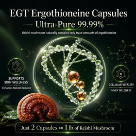 Étiquette du flacon MixPower L-Ergothioneine 70mg