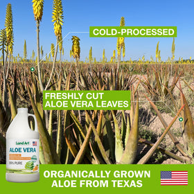 Étiquette du gel buvable Aloe Vera de Land Art