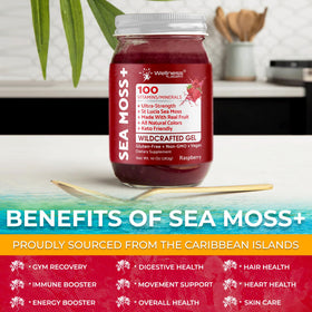 Étiquette du gel d'Irish Sea Moss WELLNESS LABSRX