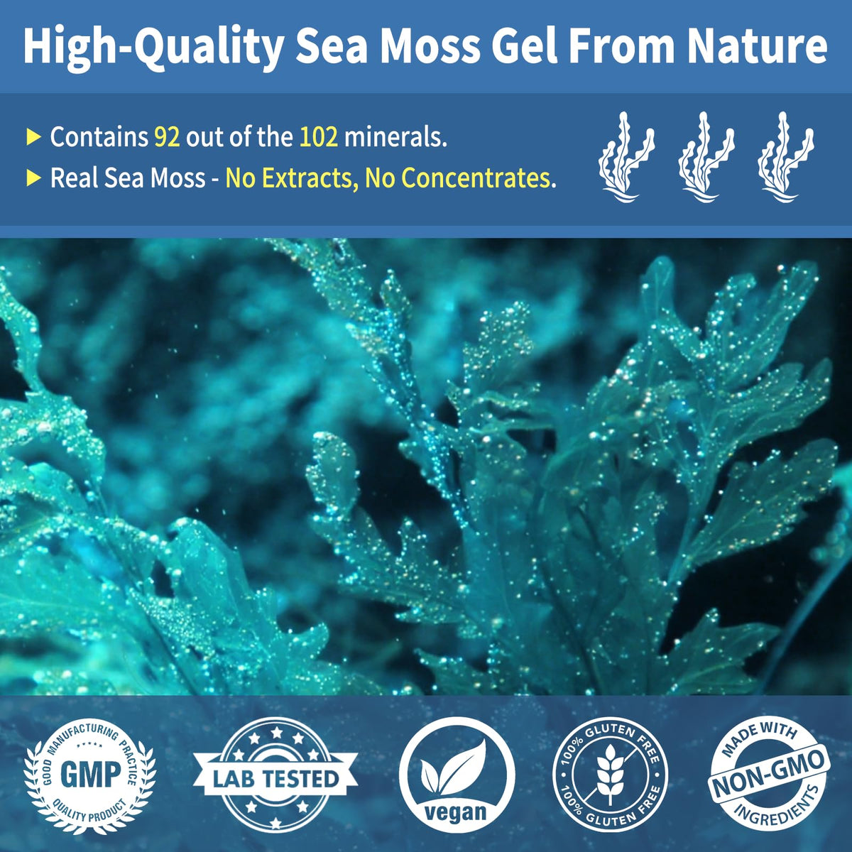Étiquette du gel de mousse de mer Fleamart, informations nutritionnelles