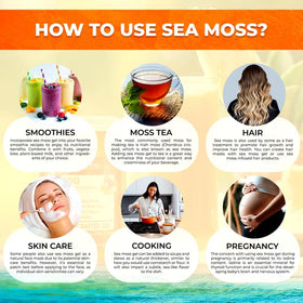 Étiquette du gel de mousse marine irlandaise WELLNESS LABSRX