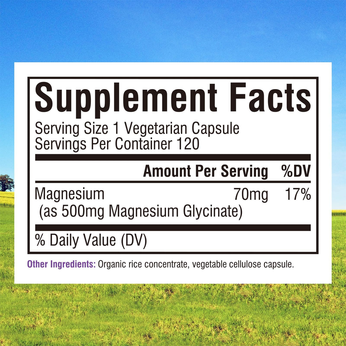 Étiquette du glycinate de magnésium Innate Vitality 500mg