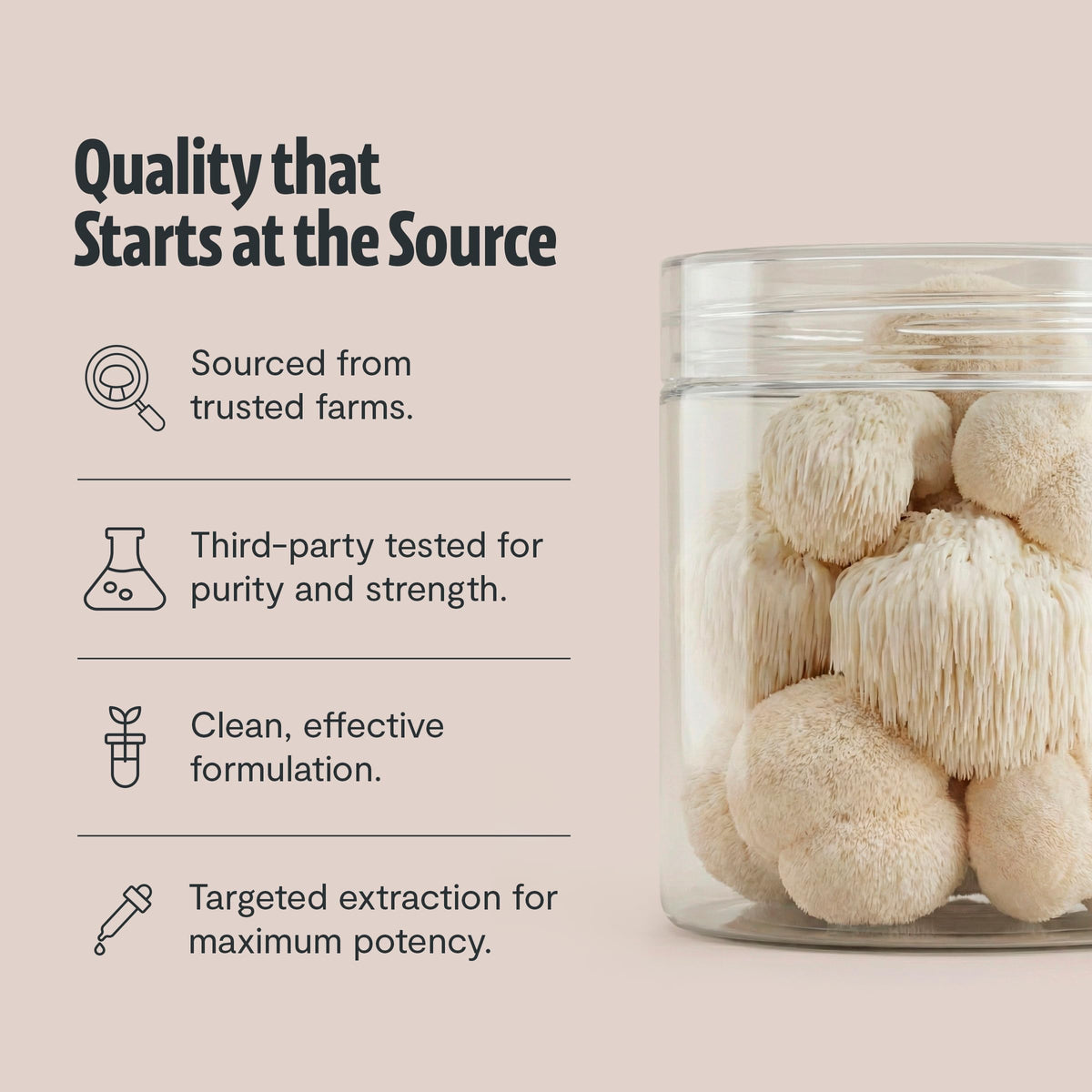 Étiquette du produit FreshCap Poudre de Lion's Mane Bio