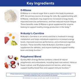 Étiquette du produit Gundry MD Energy Renew avec informations nutritionnelles
