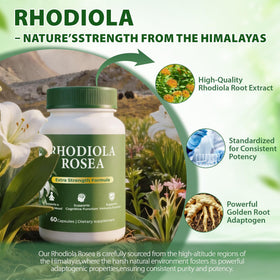 Étiquette du produit Purpleaf Extrait de Rhodiola Rosea 500mg