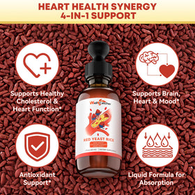 Étiquette du riz rouge Wellcatcher 2400mg, ingrédients et dosage