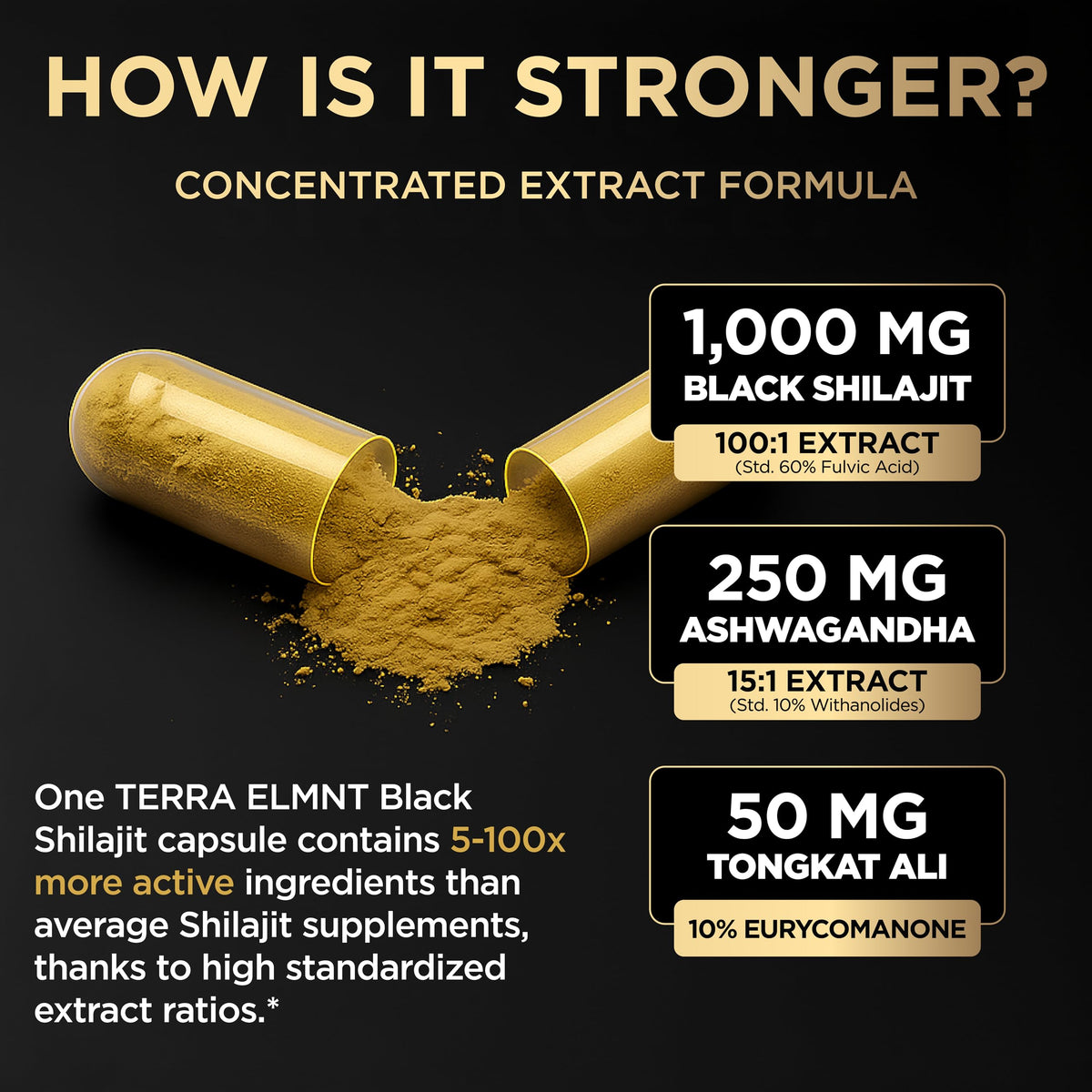 Étiquette du Shilajit Noir 100x TERRA ELMNT avec ingrédients