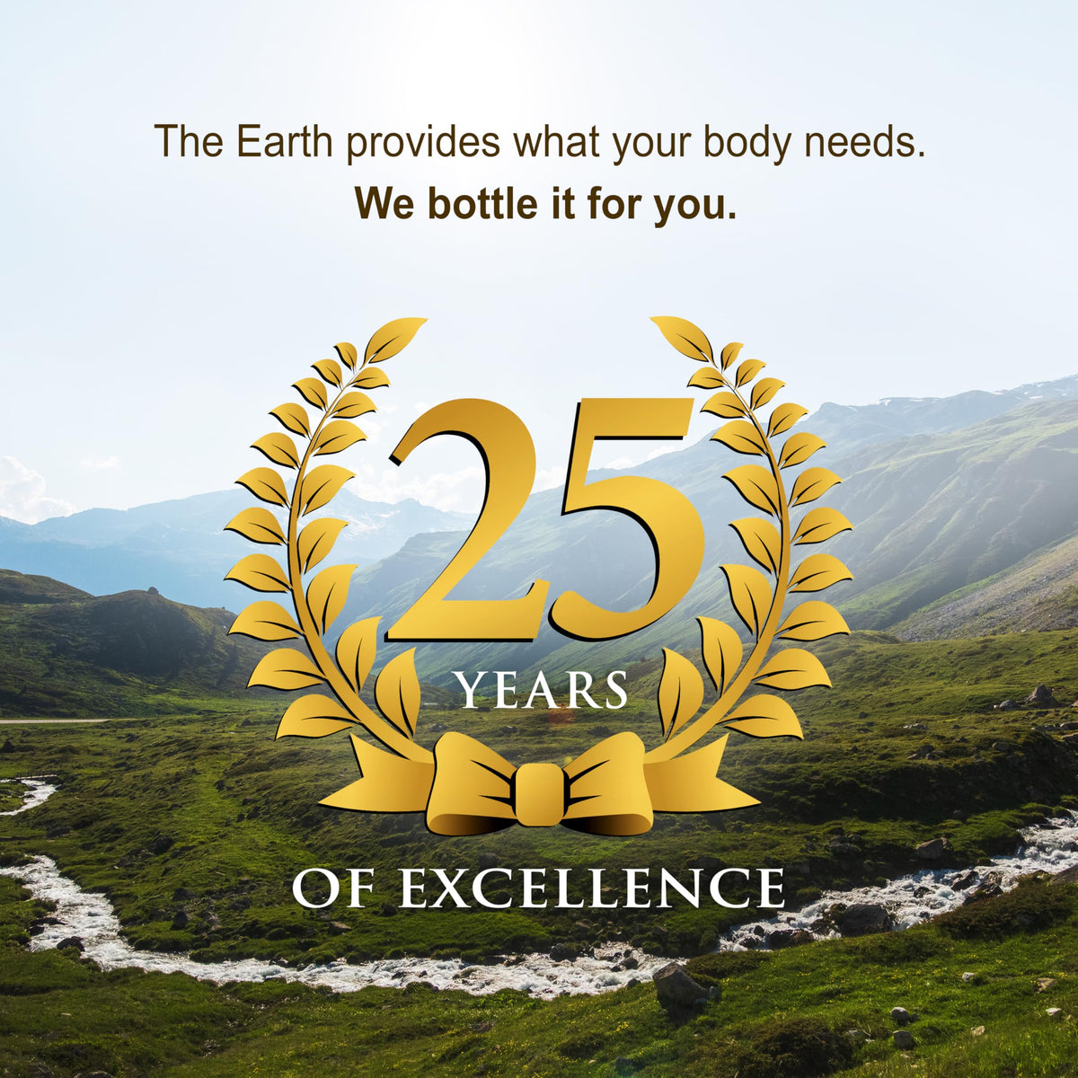 Étiquette du Vital Earth Minerals Cal-Mag Liquide