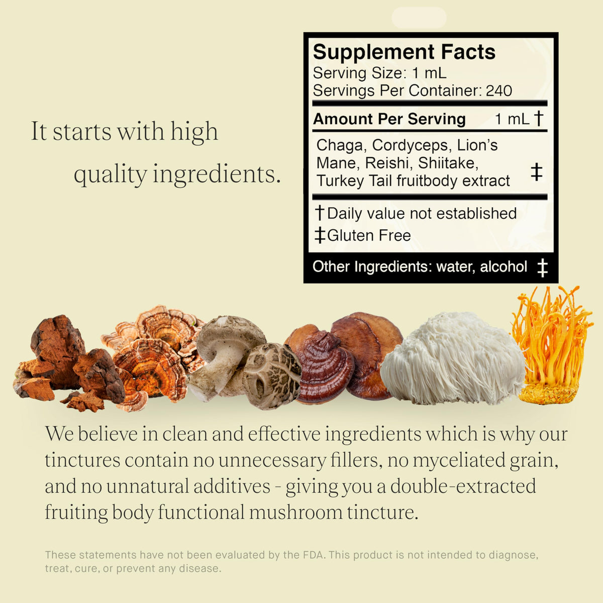 Étiquettes des ingrédients de la Tincture UPHORIC URTH