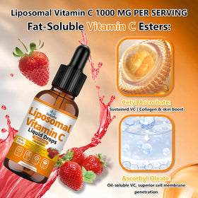 Étiquettes des ingrédients de Scibalia Vitamine C Liposomale 1000mg