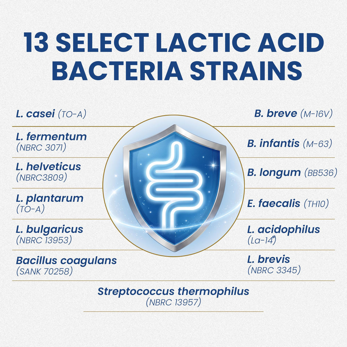 Étiquettes des ingrédients des probiotiques Essential Formulas