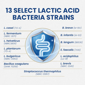 Étiquettes des ingrédients des probiotiques Essential Formulas