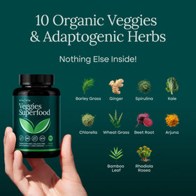 Etta Vita complément nutritionnel bio avec 31 fruits et légumes