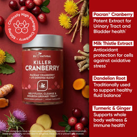 Eu Natural Complément Alimentaire Canneberge 60 Capsules sur fond neutre