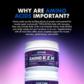 Evogen Amino K.E.M. EAA & BCAA close-up of the scoop