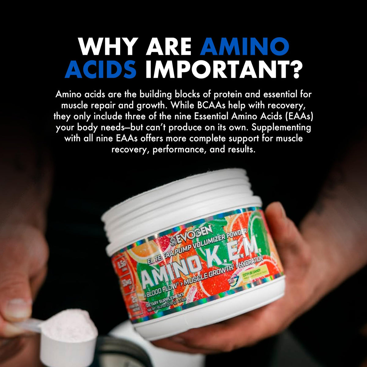 Evogen Amino K.E.M. EAA & BCAA en poudre dans un shaker