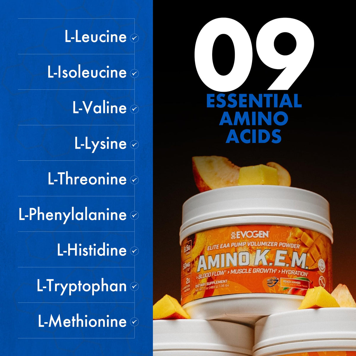Evogen Amino K.E.M. Poudre BCAA EAA 599g Pêche Mangue dans un shaker