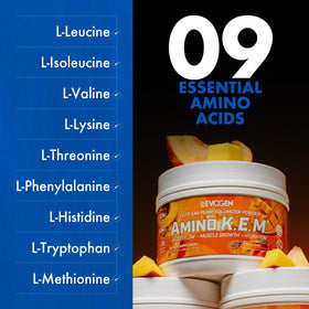 Evogen Amino K.E.M. Poudre BCAA EAA 599g Pêche Mangue dans un shaker