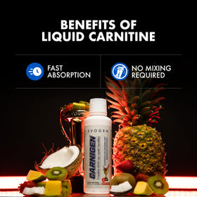 Evogen Carnigen Liquide 3000 mg Acétyl-L-Carnitine affiché sur une table