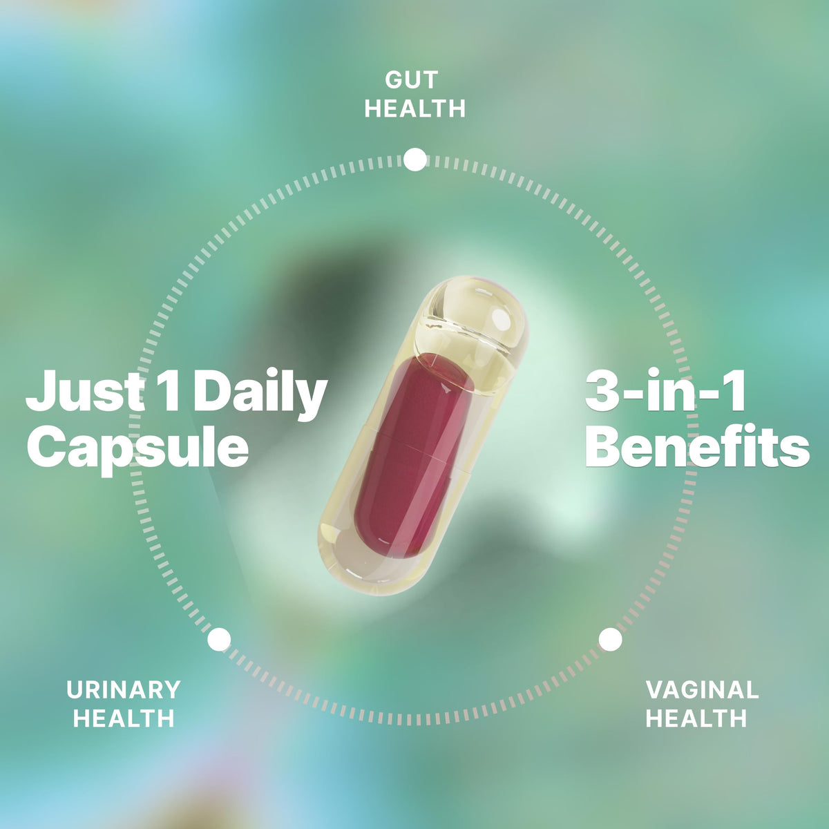 Evvy Probiotique 3-en-1 capsules avec étiquette en gros plan