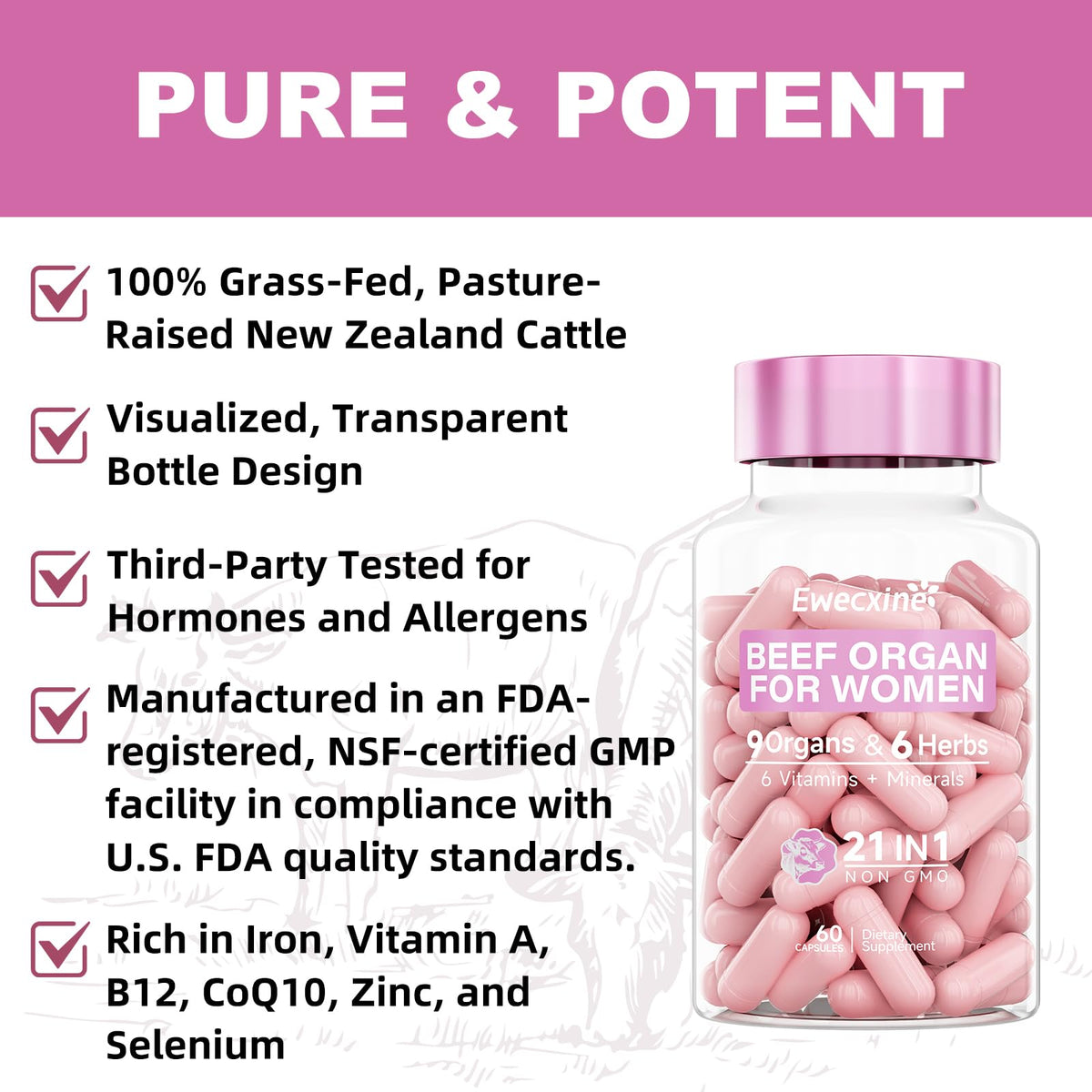 Ewecxine Complément Alimentaire Organes de Bœuf 120 Capsules présentation sur une table