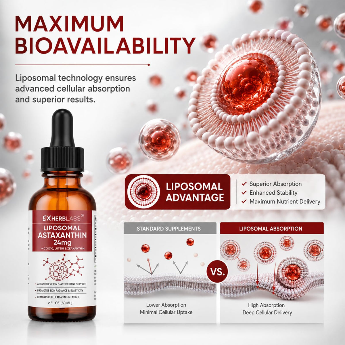 EXHERBLABS Astaxanthine Liposomale 24mg flacon sur une table
