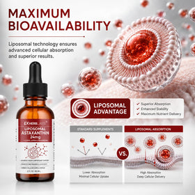 EXHERBLABS Astaxanthine Liposomale 24mg flacon sur une table