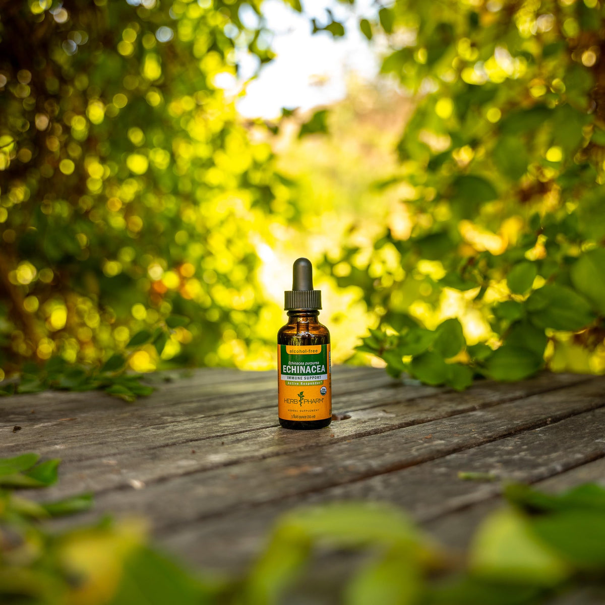 Extrait d'Échinacée Herb Pharm versé dans un verre