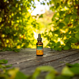 Extrait d'Échinacée Herb Pharm versé dans un verre
