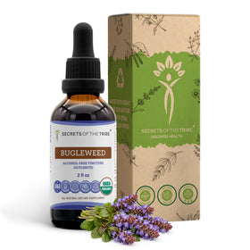 Extrait de Bugleweed bio Secrets of the Tribe 60 ml, bouteille vue de face