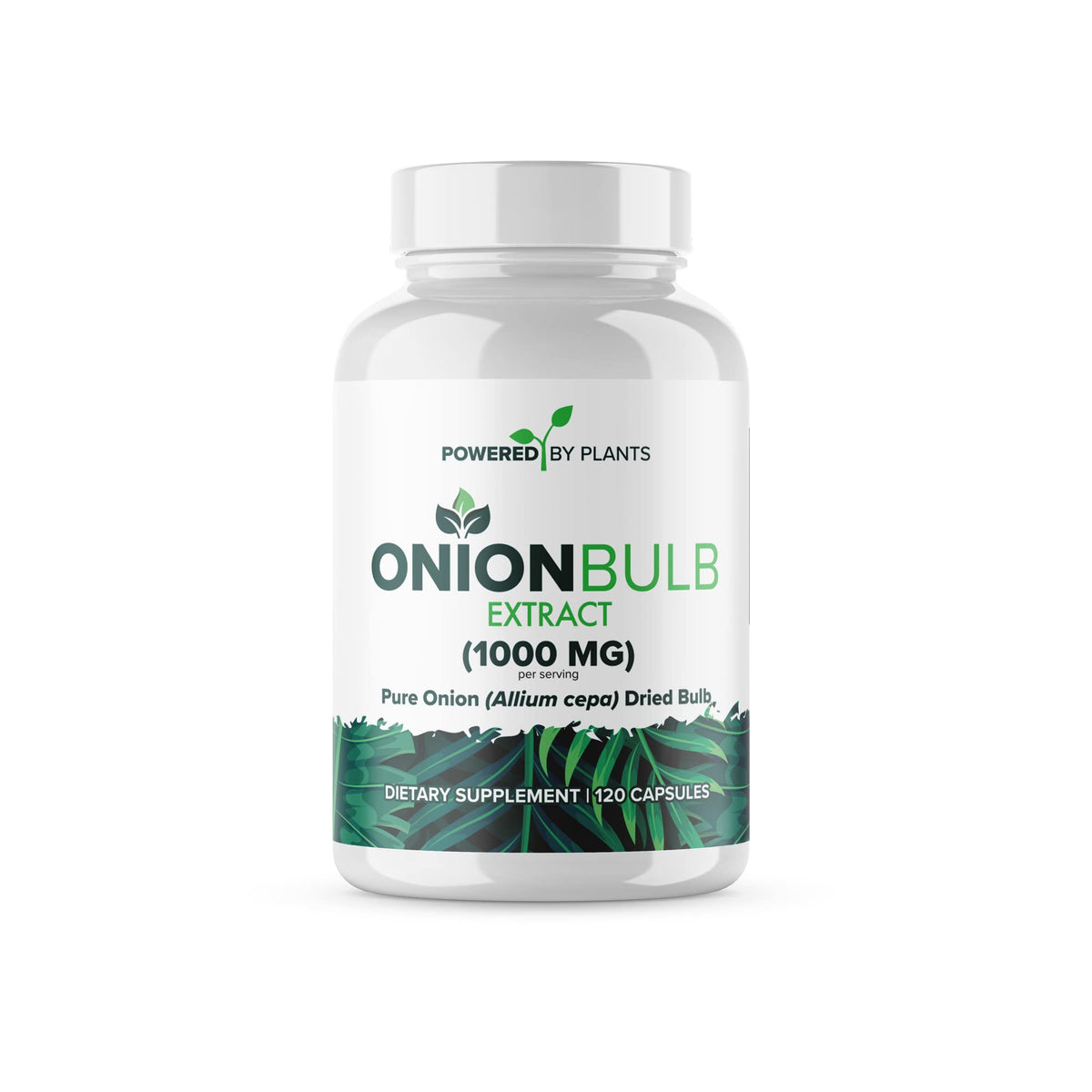 Extrait de bulbe d'oignon 1000mg POWERED X PLANTS, emballage avant
