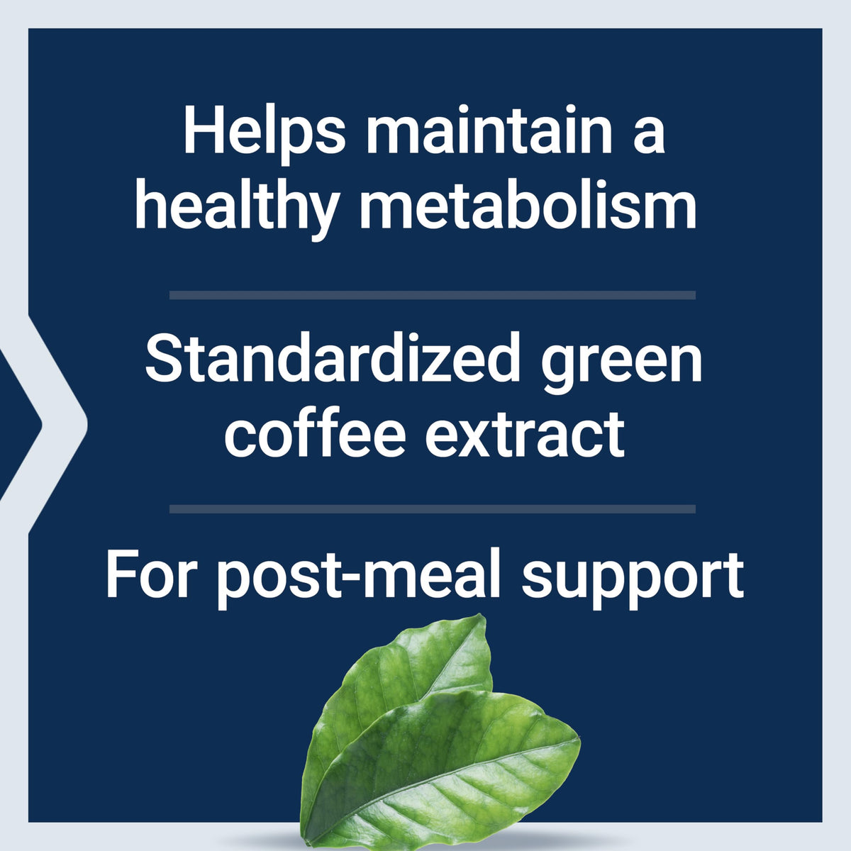 Extrait de café vert Life Extension avec liste des ingrédients
