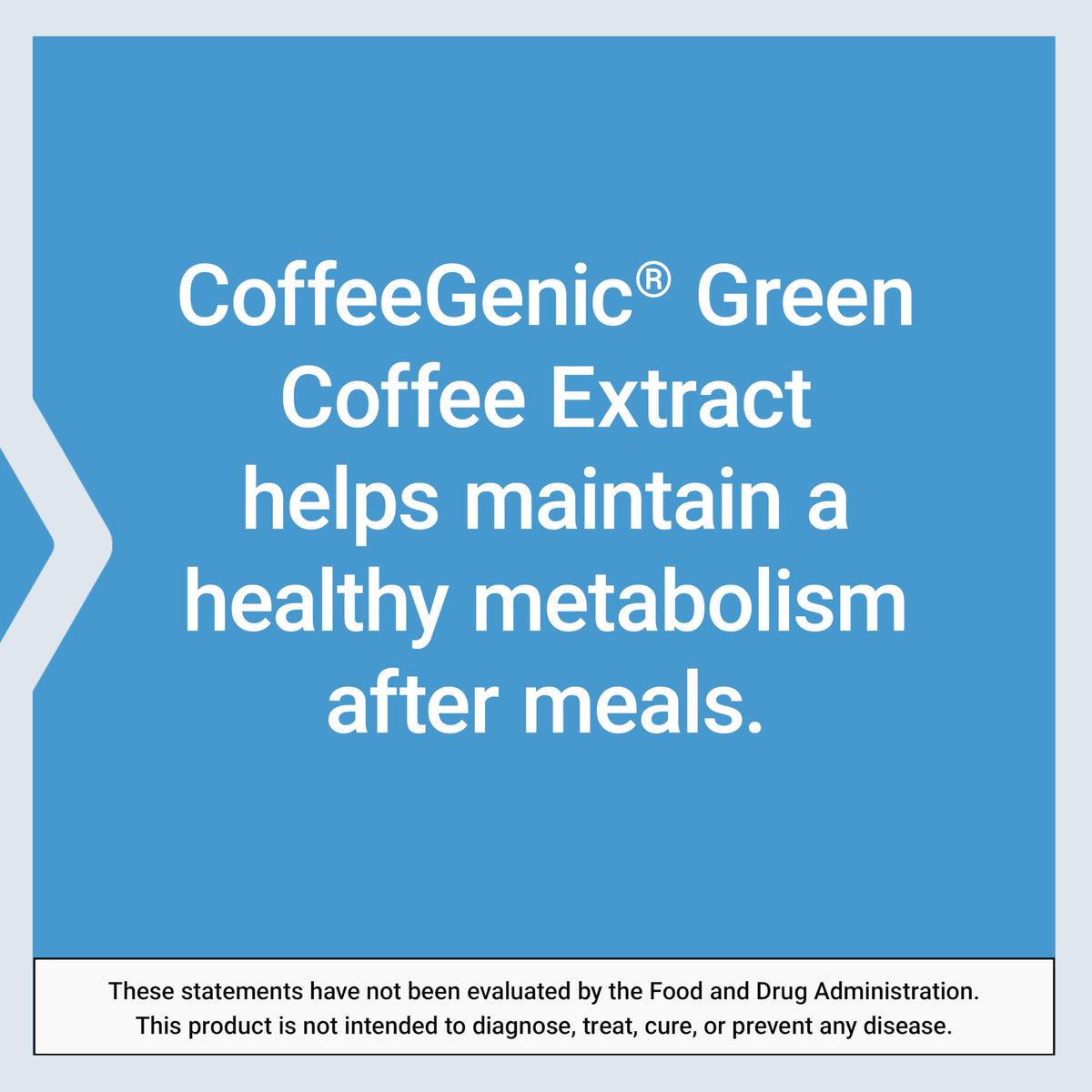 Extrait de café vert Life Extension avec un verre d'eau