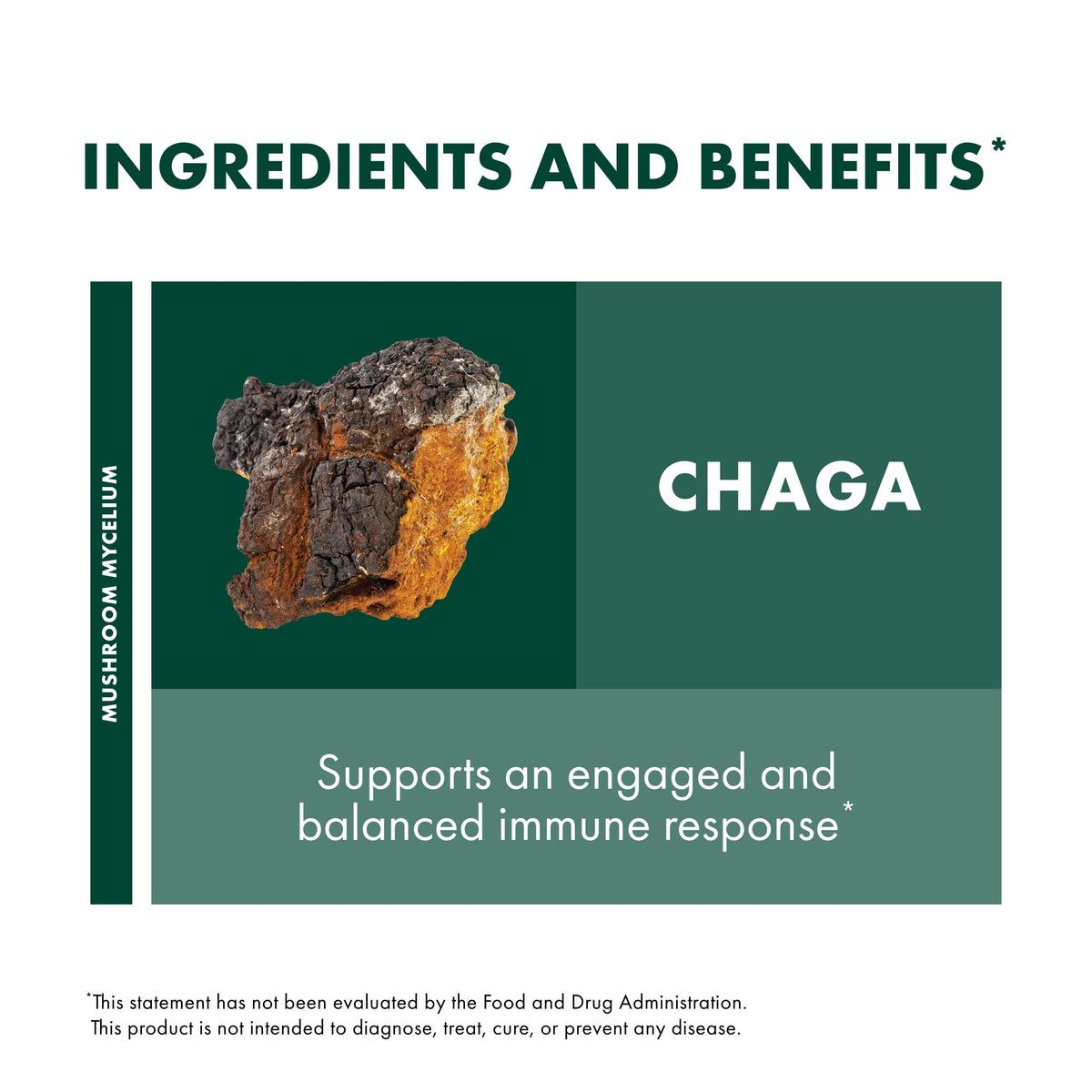 Extrait de Chaga Host Defense avec des champignons en arrière-plan